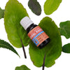 Gopal Painbalm Liquid